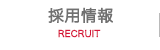 採用情報